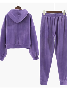 Ensemble 2 pièces décontracté en velours épais pour l'automne : haut court à capuche et pantalon droit, chaud et chic - Product Image 3