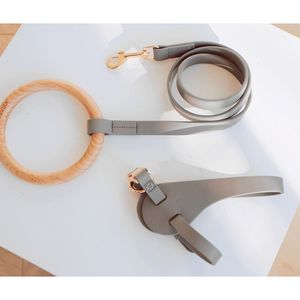 Guinzaglio per Cani Serie Boutique Ever Craft in Legno di Faggio e Pelle, Accessorio di Design per Animali Domestici - Product Image 5