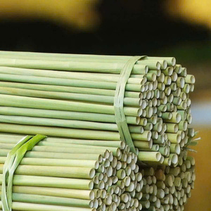 2026 Accessoires de bar à logo personnalisé, Pailles en paille naturelle du Vietnam, Essentiels de bar pour le marché américain, Meilleur prix, En promotion - Product Image 4