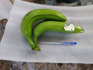 กล้วยคาเวนดิช G9ออร์แกนิกจากเวียดนามกล้วยส่งออกสีเขียวและสีเหลืองมีโลโก้ออกแบบได้ตามต้องการราคาขายส่งโดย99GD - Product Image 6