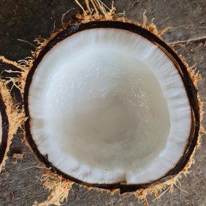 Coco seco sin cáscara, coco secco sgusciato, bajo contenido de humedad, Vietnam, para compradores (WA +84914319488) - Product Image 1