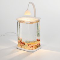 Mini aquarium de bureau en verre transparent avec lumière LED nocturne, alimenté par USB, pour la décoration de salon ou de bureau.
