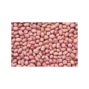 Arachides en gros, approvisionnement en vrac, prix abordable, noix de qualité supérieure - Product Image 4