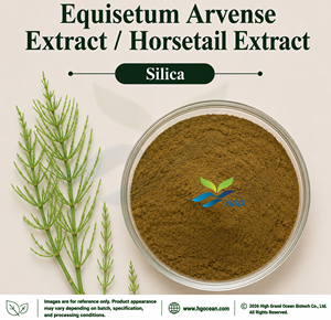 Suministro Directo de Fábrica HGO de Extracto de Equisetum Arvense / Extracto de Cola de Caballo Grado Alimenticio 2% 7% 10% Extracto Estandarizado con Silica - Product Image 1