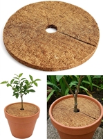 Tapis de protection d'arbres moderne et écologique en fibres de coco, anneau de paillis 100% naturel en coco coir, diamètre 50 cm, pour jardinage durable