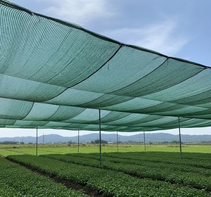 ตาข่ายบังแดด HDPE 400gsm ตาข่ายขนาด 1 มม. ป้องกันรังสียูวี สีเขียว ฟิล์มเกษตรสำหรับป้องกันพืชผลในโรงเรือน - Product Image 2