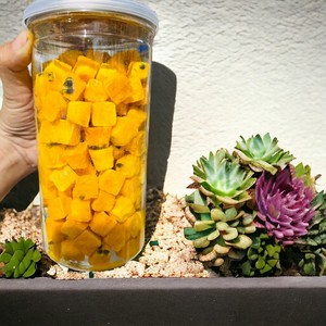 Fruta de la Pasión seca natural de Vietnam con sabor dulce fuerte y aroma afrutado - Product Image 1