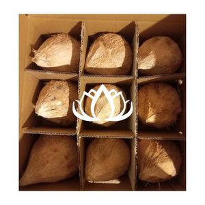 HIGH QUALITY <b>Fresh</b> Semi Husked <b>Coconut</b> premium clean export quality for desserts and cold drinks from selected <b>coconut</b> source - Product Image 1