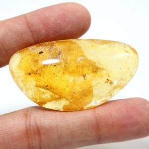 Cabochon lisse en ambre naturel de la Baltique avec insectes inclus, pierre précieuse en ambre en vrac - Product Image 3