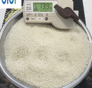 Riz blanc à grains courts, séché, texture moelleuse, haute qualité, vente en gros, marque IIglobal, origine Vietnam, pour usage en restauration - Product Image 1