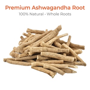 Extrait de racine d'Ashwagandha naturel biologique de haute qualité, fabriqué en Inde, directement du fabricant, NON OGM - Product Image 5