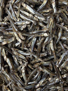 Anchoas Secas Premium, Pura Comida Natural de Mar, Suministro a Granel para Minoristas Globales y Proveedores de Servicios de Alimentos, Suministro Internacional - Product Image 3