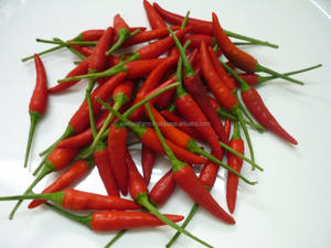 Piment rouge frais cru de qualité supérieure Origine du Vietnam 2025 Produit de haute qualité prêt pour l'exportation en gros - Product Image 2
