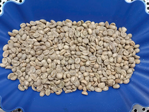 Café Arábica Vietnamita Tostado Claro y Medio |   GRANOS DE CAFÉ TOSTADOS AL POR MAYOR |   ORIGEN ÚNICO GRADO ESPECIAL - Product Image 6