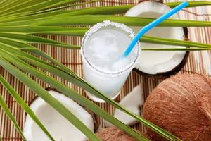 Proveedor de Ingredientes para Bebidas de Agua de Coco Joven Congelada - Product Image 5