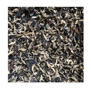 Hongo Oreja de Pana Seco Natural de Bosque para Procesamiento de Alimentos Saludables, Materia Prima para Exportación Culinaria Profesional - Product Image 1