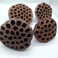 Vente en gros d'usine de gousses de lotus dorées naturelles pures avec emballage personnalisable