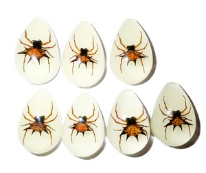 Spiny <b>Spider</b> Real Specimen <b>Plastic</b> Cabochon Pear Shape Cut Top 33x22 mm Glow Flat Bottom for Crafts and Jewelry Making - Product Image 6