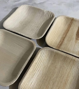 Premium Areca Palm Leaf <b>Plates</b> for Birthday Party Serving 7 Inches Square Shapes <b>Plates</b> for Desserts, Cupcakes and Sweet Pack 25 - Product Image 1