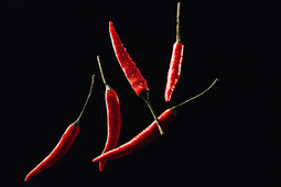 Piment rouge entier indien naturel 100% pur séché, origine Gujarat, durée de conservation de 24 mois pour les opérations de transformation à grande échelle - Product Image 3