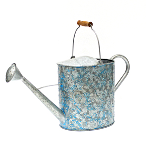 Regadera Metálica Color Crema con Acabado Pintado Resistente para Jardinería - Product Image 3