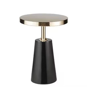 Mesa de Centro de Lujo Ecológica, Mesa Auxiliar de Venta Caliente, Muebles con Base de Hierro Metálico, Mesa de Café de Alta Calidad Hecha a Mano - Product Image 1