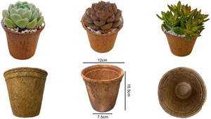 Pot de fleurs biodégradable en fibre de coco EXPAD pour jardin et maison, motif circulaire non enduit, fabriqué à Ben Tre - Product Image 5