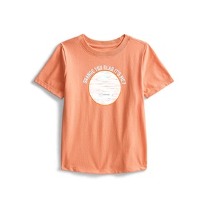 New Arrival <b>Boys</b> Printed Cotton Short Sleeve T-Shirt Quick Dry & Breathable Stylish for Every Adventure Premium Tee - Product Image 1