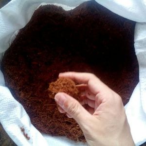 Substrat de culture écologique en fibre de coco de qualité supérieure, équilibré en pH, pour la propagation des plantes - VENTE CHAUDE - Product Image 2