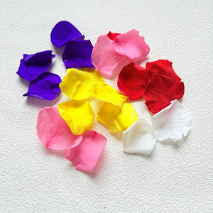 2026 Wholesale High Quality Pure Reasonable Price Customized Packing OEM Service <b>Dried</b> Double Rose <b>Petals</b> Red Rose <b>Petal</b> - Product Image 5