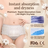 Culottes menstruelles jetables Insoftb en gros, culottes de règles, pantalons hygiéniques pour usage nocturne, flux abondant, logo personnalisé d'usine, OEM