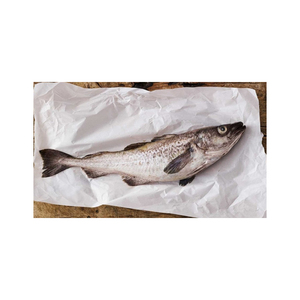 Filet de goberge d'Alaska congelé de qualité supérieure (Theragra Chalcogramma) – Emballage en gros pour la restauration mondiale - Product Image 2