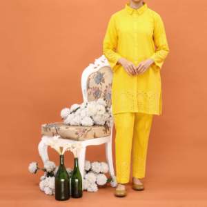 ชุดสูทปักลาย khaddar สำหรับผู้หญิง Collection-PW4195 2ชิ้น - Product Image 3