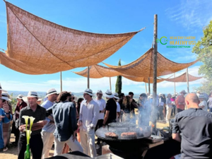 Wholesale Natural Coir <b>Canopy</b> Coconut Fiber Outdoor Cover for Garden Pergola Nursery and Agricultural Use - Product Image 2