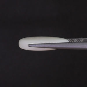 โอปอลธรรมชาติสีขาวรับรองโดย IGI น้ำหนัก 6.71 กะรัต รูปทรงวงรี ขนาด 18.5x12.5 มม. ตัดด้วยมือ ขัดเงา ผ่านการเคลือบแว็กซ์/น้ำมัน - Product Image 2