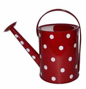 Meilleur prix - Arrosoir en laiton poli écologique Lavie Creations de 1,5 L avec finition brillante de luxe pour la maison et l'hôtellerie - Product Image 1