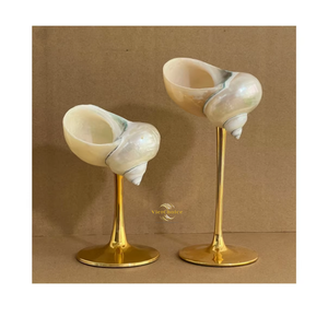 Copa de Cóctel Hecha a Mano con Concha de Caracol, Ecológica, Natural, de Lujo, Decorativa, para el Hogar y Venta al Por Mayor - Product Image 4