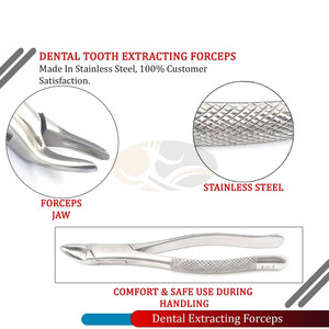 Instrumentos Quirúrgicos Manuales de Acero Inoxidable, Fórceps Dentales para Extracción 101, Bicuspides Superiores e Inferiores, Dientes Deciduos, Profesionales - Product Image 4
