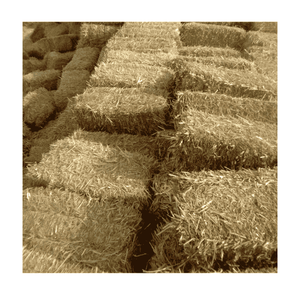 Heno de paja de arroz multiusos de calidad superior, alimentación animal de proteína de alto nivel para cerdos, ganado, caballos, camellos, ovejas, vacas - Product Image 6