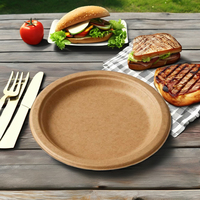 Caja de bagazo desechable ecológica con tapa