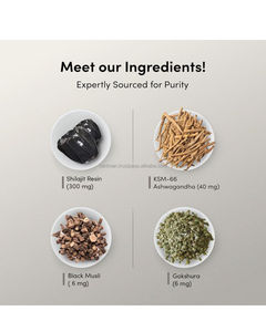 Pure Shilajit Gummies Supplément à base de plantes cultivées dans la nature pour un soutien quotidien à la détox énergétique-Bouteille certifiée GMP emballée - Product Image 3