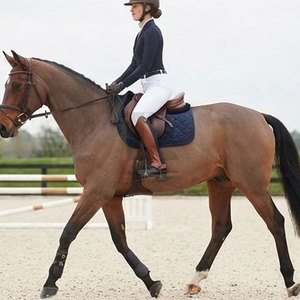 Western Professional Horse Riding <b>Chaps</b> <b>Half</b> Lightweight Genuine Leather Equestrian Adjustable Riding Wear for Outdoor - Product Image 5