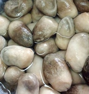 เห็ดหลอดกระป๋องเกรดพรีเมียม คุณภาพเยี่ยม รสชาติสดใหม่ อายุการเก็บรักษายาวนาน // คุณทอม - Product Image 3