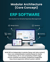 Programación y Desarrollo ERP SaaS, Software Modular MVP para Datos y Análisis en Tiempo Real, Software SaaS