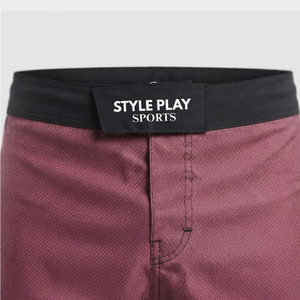 Men Breathable Stretch Compression Fit <b>Grappling</b> Kickboxing MMA Training <b>Shorts</b> New Arrival Style MMA <b>Shorts</b> - Product Image 5