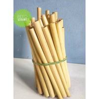 Pajitas de Madera Natural de Lujo, Ecológicas, Biodegradables y Compostables para Restaurantes, Cafés, Fiestas y Servicios de Catering