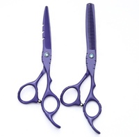 Ciseaux de coupe de cheveux de barbier en acier inoxydable enduits de poudre violette ensemble de deux avec étiquette personnalisée incluse
