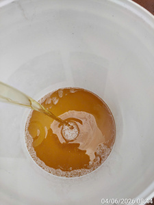 Aceite de Coco Crudo Refinado Orgánico - Opciones de Empaque en Botellas de Plástico y Bidones - Product Image 4