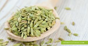 Foeniculum Vulgare Extracto Variali Sounf Extracto de planta Producto - Product Image 4