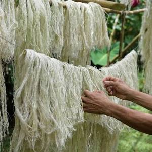 Fibra de Piña Natural Cruda Ecológica de Alta Calidad para Tejido, Manualidades, Hilado y Uso Industrial - Product Image 1